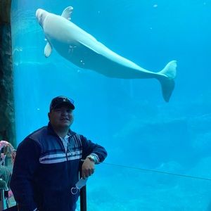 Meet your Posher, Douglas